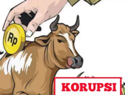 Sudah Periksa 26 Saksi Termasuk Anggota Dewan, Kejari Barito Utara Perkuat Alat Bukti Dugaan Korupsi Hewan Ternak