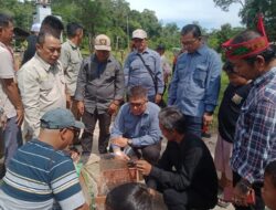 Medco Energi Bangkanai Ltd Salurkan Bantuan Stup Lebah Madu Kelulut untuk Warga Desa Binaan, Dorong Muncul Produk Unggulan Berdaya Saing