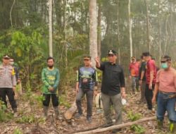 Bupati Barito Utara Instruksikan Siaga Alat Berat dan Rakor Karhutla di Teweh Selatan